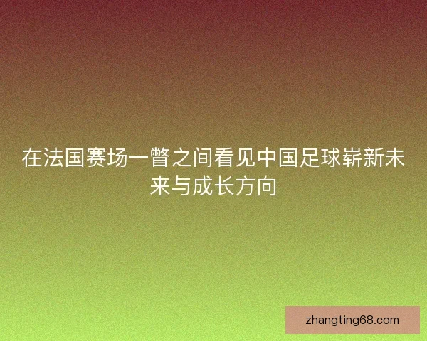 在法国赛场一瞥之间看见中国足球崭新未来与成长方向