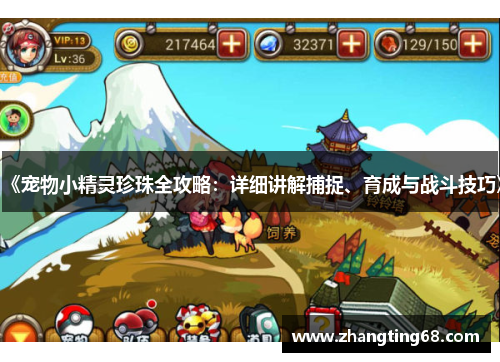 《宠物小精灵珍珠全攻略：详细讲解捕捉、育成与战斗技巧》